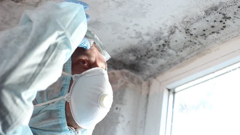 Mold Documentation for Insurance Claims in Petaluma, CA